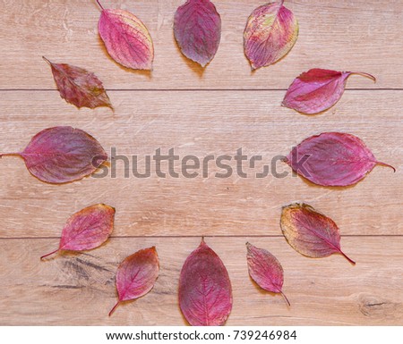 Autumn clock of red fallen leaves 