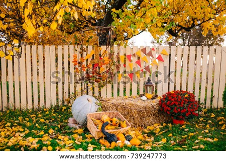 Amazing fall autumn outdoor decor for halloween