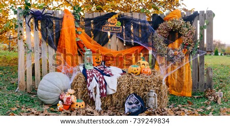 Outdoor halloween background beautiful decoration fall and autumn