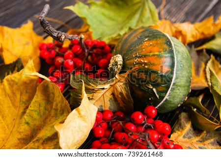 Wooden table with dry leaves and ashberry