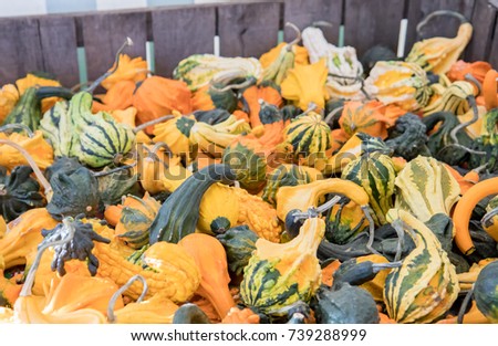 Wooden crate full of small ornamental gourds for sale at an autumn farmer's market Royalty-Free Stock Photo #739288999