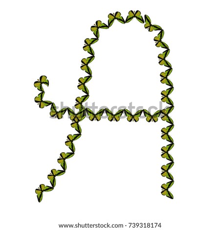 Alphabet from butterflies, letter "A", vector clip art