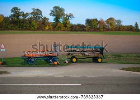 Cart with pumpkin. 