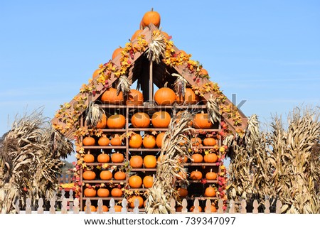 Halloween House of Pumpkins