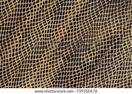 Leather snake textured background