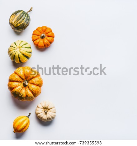 Various colorful little pumpkin on light background. Fall composing with pumpkin,top view, border