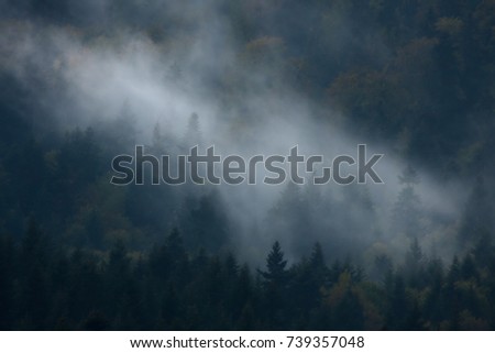 Mountain fogs are caused by a change of weather