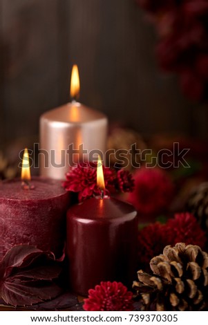 Three candles of crimson and pink color on a dark background with cones, leaves and daisies. Selective focus.
