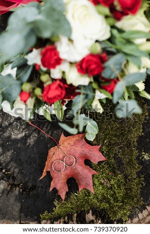 wedding rings, the bride's bouquet, wedding rings on a maple leaf