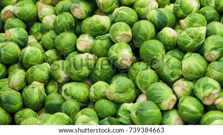 Brussel sprout or Rosenkohl in German language Royalty-Free Stock Photo #739384663