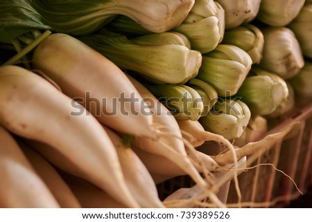 Vegetable. Fresh Chinese cabbage and radish  for sale at an asian market.