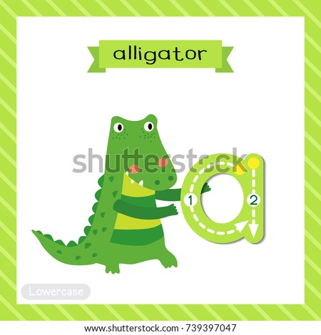 Letter A lowercase cute children colorful zoo and animals ABC alphabet tracing flashcard of Alligator for kids learning English vocabulary and handwriting vector illustration.