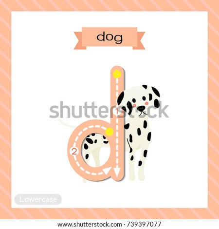 Letter D lowercase cute children colorful zoo and animals ABC alphabet tracing flashcard of Standing Dog for kids learning English vocabulary and handwriting vector illustration.