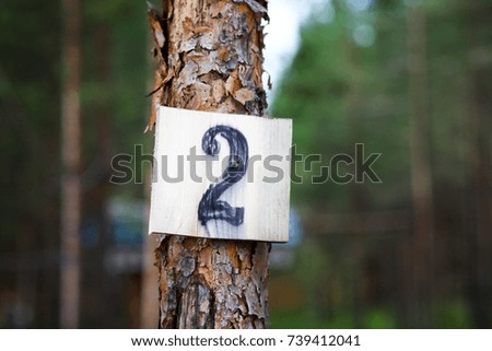 Plate with number two on pine
