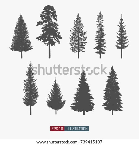 Coniferous tree isolated silhouettes set. Pine tree and fir tree flat icons. Elements for your design works. Vector illustration. Royalty-Free Stock Photo #739415107