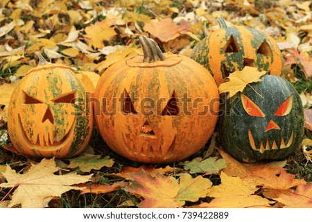 Homemade pumpkins for a fun Halloween celebration.