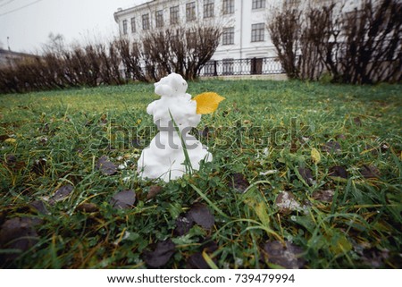 Snowman grass with yellow leaf. Funny wide angle picture.