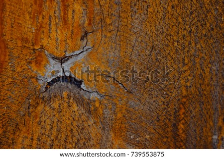 tiger picture on wood.background Orange colors.texture wood.