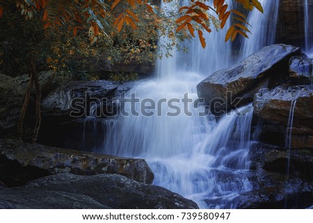 Waterfall surrounded by tropical plants , with warm sunlight effect.
