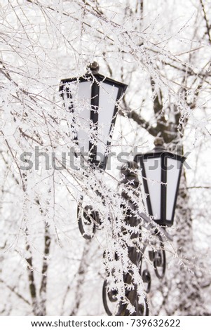 Winter landscape with street lamp in the snow.