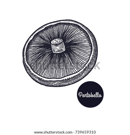 Portobello mushroom. Hand drawing. Style Vintage engraving. Vector illustration art. Black and white. Isolated objects of nature. Cooking food design for menu, store signs, markets. Royalty-Free Stock Photo #739659310