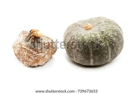 Fresh and dry green autumn pumpkins. Diet vegetarian food and healthy lifestyle concept. Traditional rustic cooking. Detailed closeup studio shot isolated on a white background