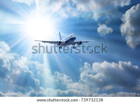 Airbus A-320 during landing. Royalty-Free Stock Photo #739732138