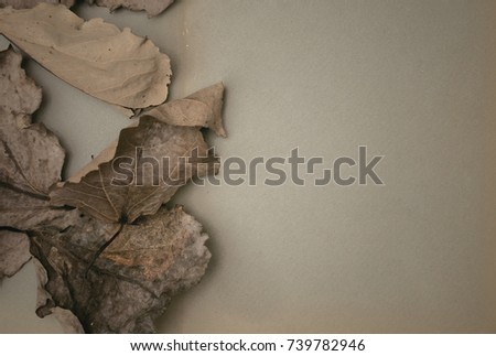Blank vintage photo album paper page in autumn fallen arid oak leaves background. Photo frame design.