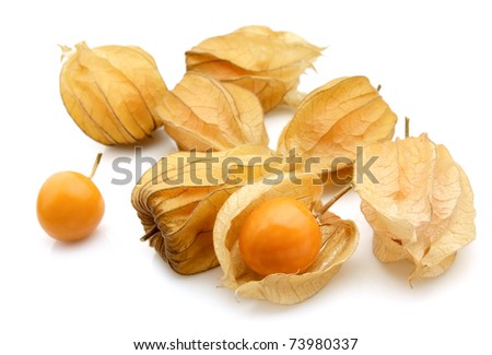 Physalis on a white background Royalty-Free Stock Photo #73980337