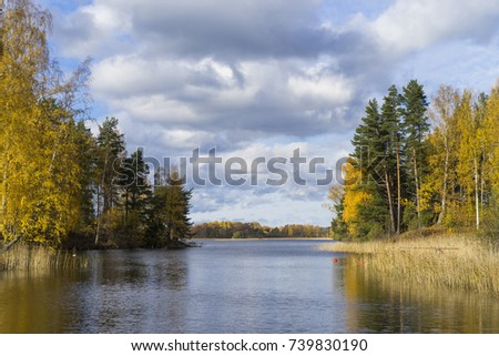 Sweden outdoors at beautiful october autumn day. Colorful trees, forest and lake. Nice nature and landscape photo of Scandinavia. Calm, peacaeful, joyful and happy image.