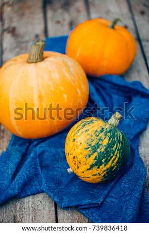 Autumn Pumpkin Thanksgiving Background - orange pumpkins over wooden table. Mottled orange-green pumpkin, closeup, Halloween