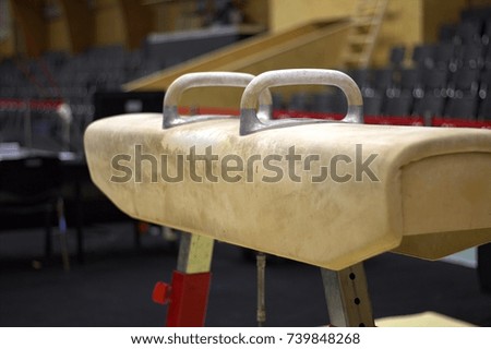 Gymnastic equipment 