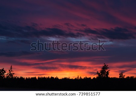 Sunset above the forest