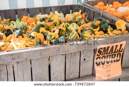 Wooden crate full of small ornamental gourds for sale at an autumn farmer's market Royalty-Free Stock Photo #739872847