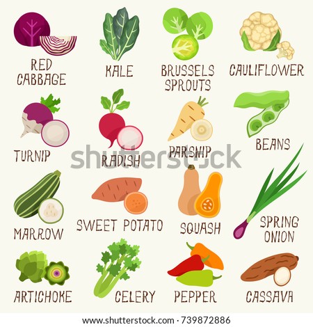 Vegetables vector set Royalty-Free Stock Photo #739872886