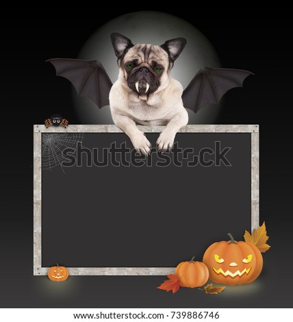 Halloween bat pug dog with wings and paws on blank blackboard sign, with pumpkin lantern, isolated on dark background