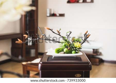 Orchid in the interior. Interior items