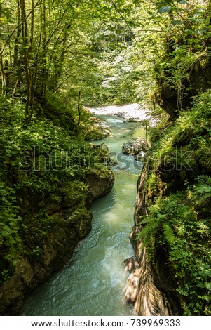 Creek and trees Royalty-Free Stock Photo #739969333
