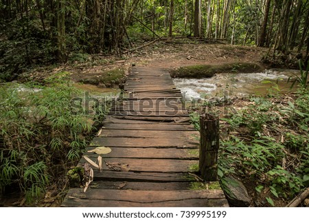 Landscape old wooden bridge crossing the stream in tropical lush forest or woodland,  Pha Tad Waterfall, Popular place in Kanchanaburi, Thailand, Show freshness, Relax, Peaceful and nature concept.