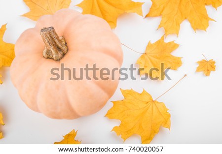 Fresh orange pumpkin isolated on white background. Thanksgiving background pumpkins and fallen leaves. Halloween, Thanksgiving day or seasonal autumnal. Autumn still life. Nuts. Maple leaves.
