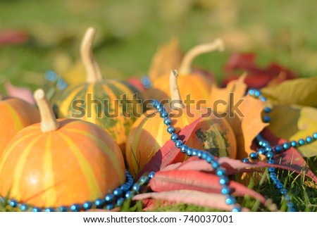 five striped pumpkins decorated with blue beads