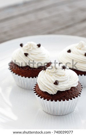Chocolate cupcakes  with vanilla frosting.