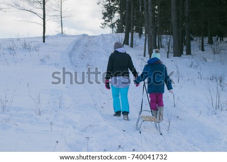 actively relaxing people in jackets, hats and gloves pulling sledge on snow background and pine forest open wild winter space in bright frosty sunny day