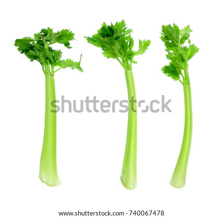 Celery on White Background Royalty-Free Stock Photo #740067478