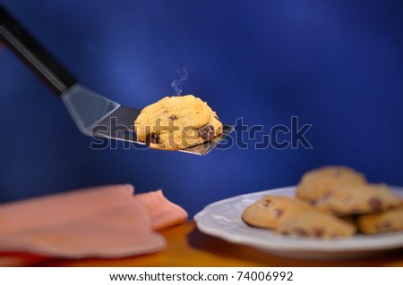 Chocolate chip cookie and plate hot from the oven