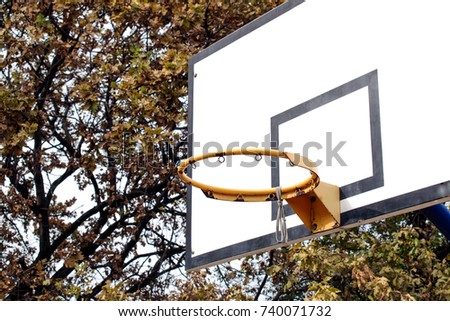 Basketball hoop in the public arena