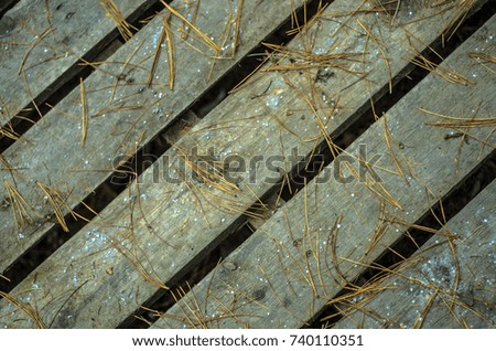 old boards covered in autumn with needles