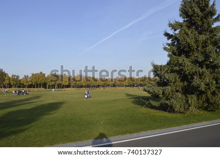 green grass, golf course, Park, trees, clear skies, trees, nature, beauty