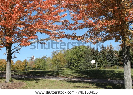 Fall trees and a basketball court on an Autumn day 
