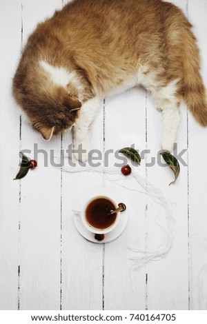 Flat lay of cat playing with a string of yarn and hot tea